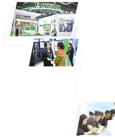在进博会上全面展示新技术新产品 跨国企业铆足劲拓展中国市场 会议及展览服务